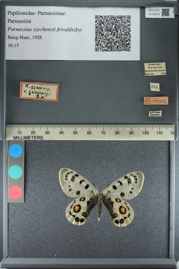 Media type: image;   Entomology 180313